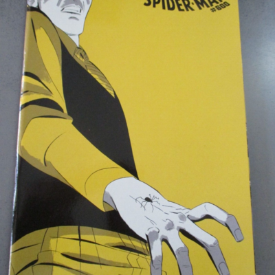 Amazing Spider-man 600 Cover B - Panini Comics 2013 - Uomo Ragno