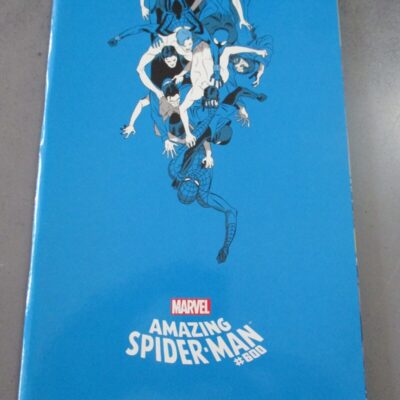Amazing Spider-man 600 Cover E - Panini Comics 2013 - Uomo Ragno