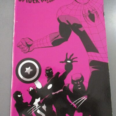 Amazing Spider-man 600 Cover F - Panini Comics 2013 - Uomo Ragno
