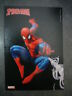 Uomo Ragno Spiderman Cartolina Promocard 7093