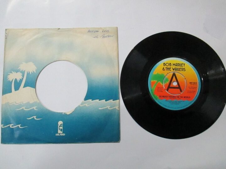 Bob Marley & The Wailers - So Much Trouble In The World - 7"